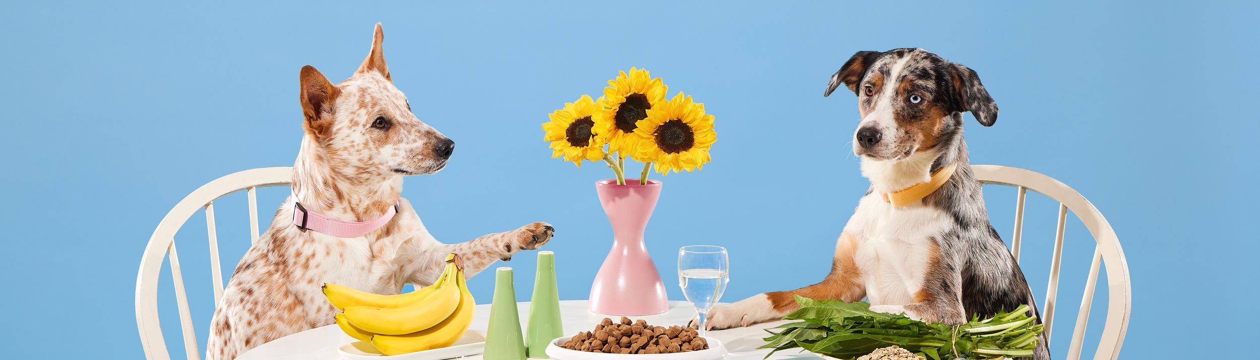 Cover Image for Calendar