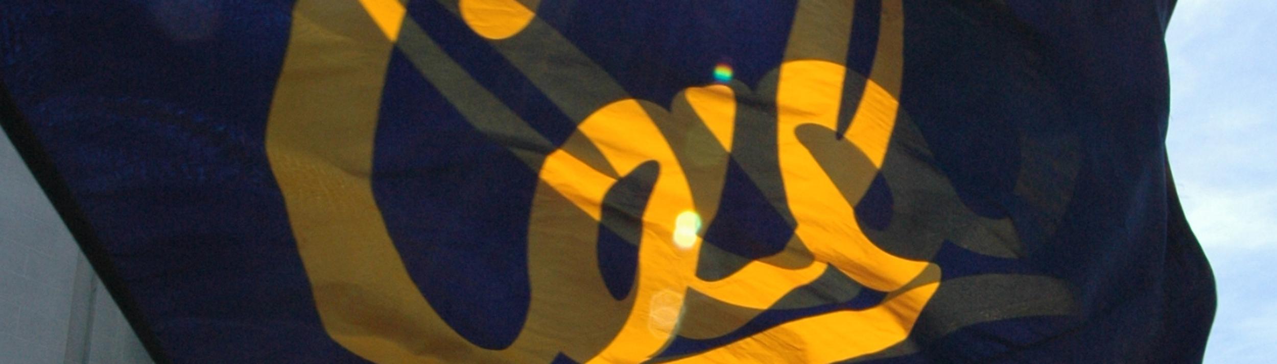 Cover Image for Calendar