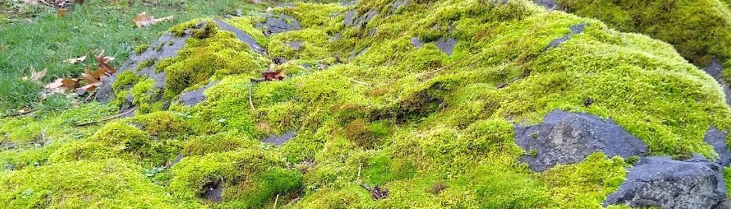 Cover Image for Calendar