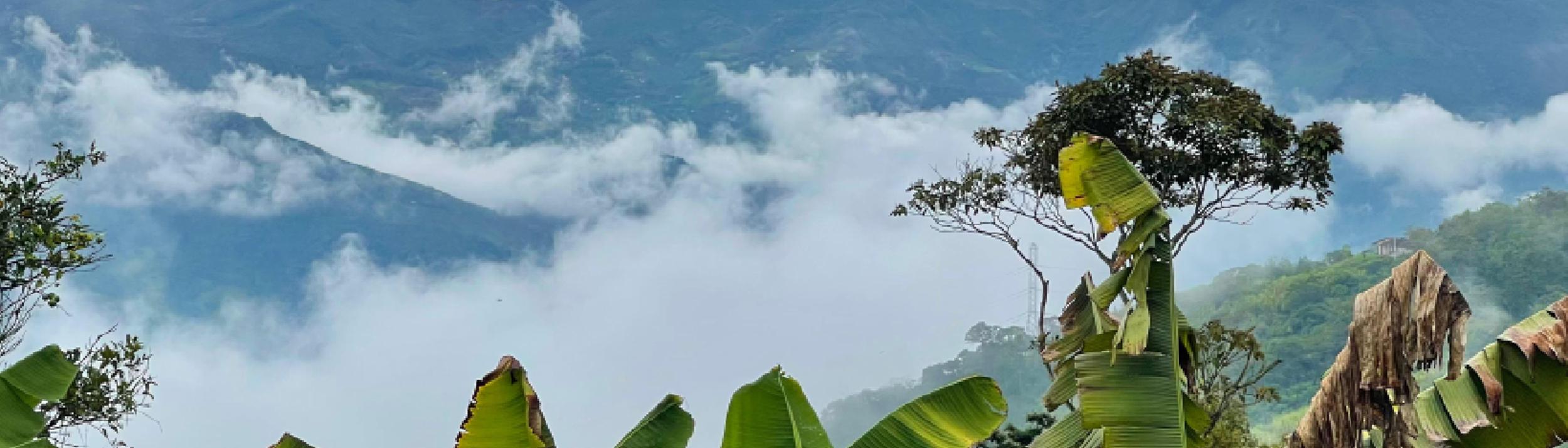 Cover Image for Calendar