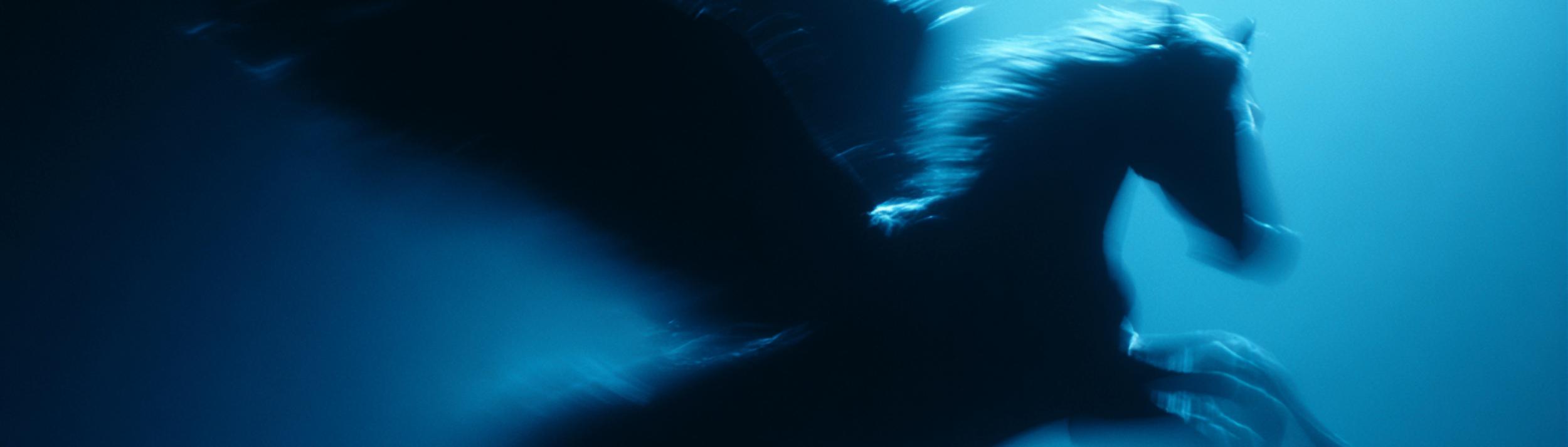 Cover Image for Calendar