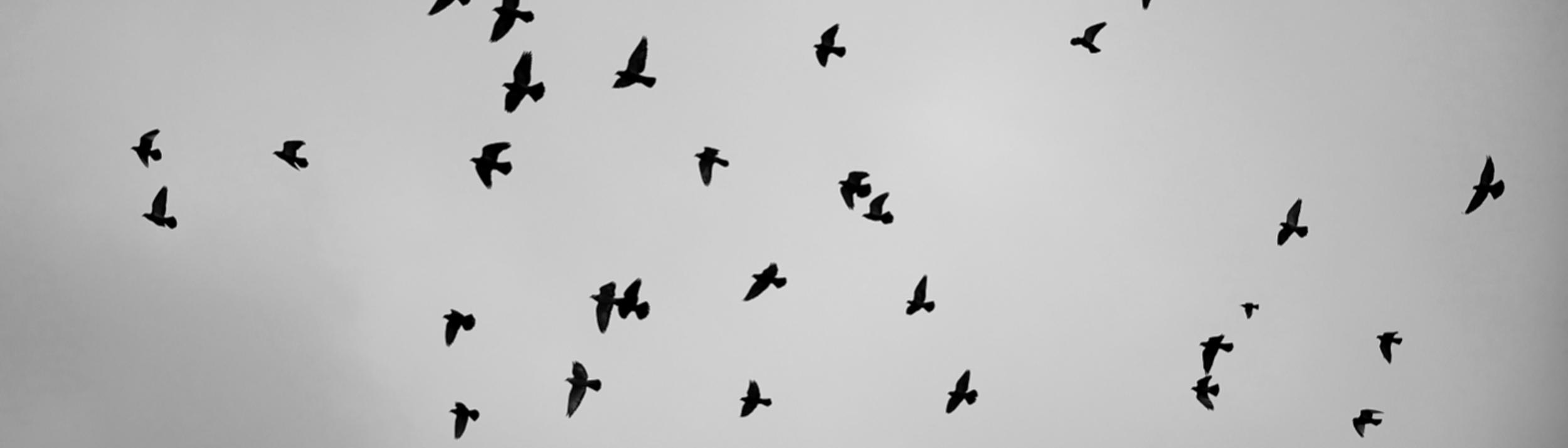 Cover Image for Calendar