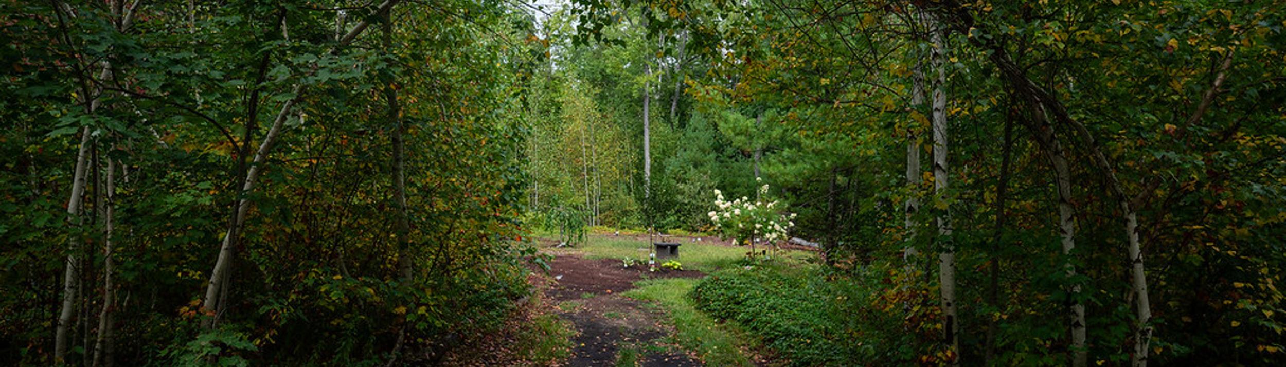 Cover Image for Calendar