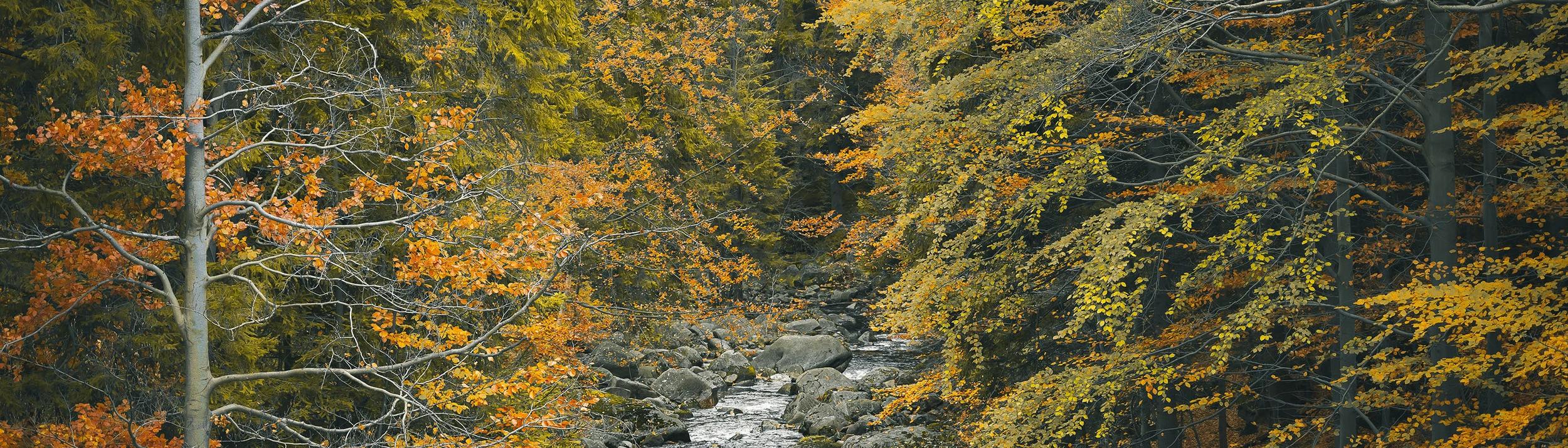 Cover Image for Calendar
