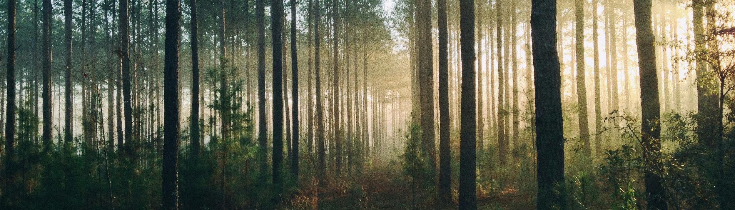 Cover Image for Calendar