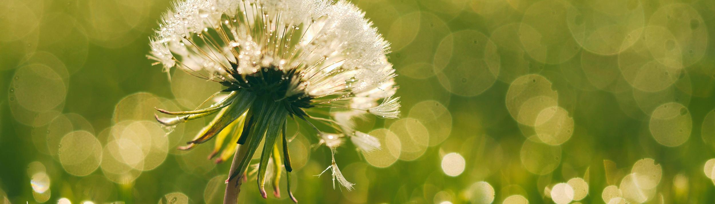 Cover Image for Calendar