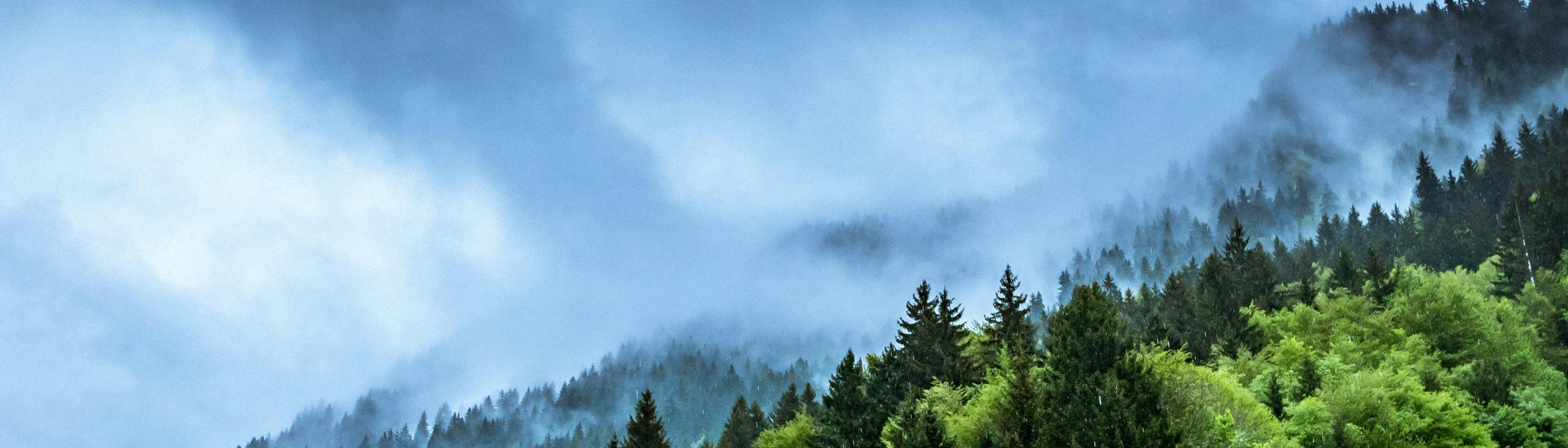 Cover Image for Calendar