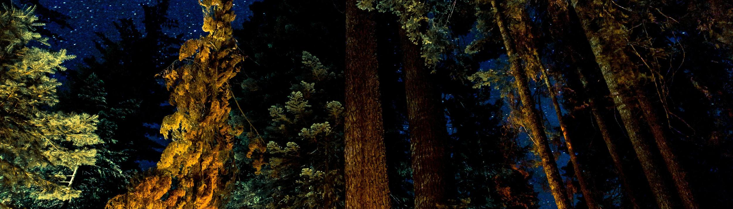 Cover Image for Calendar