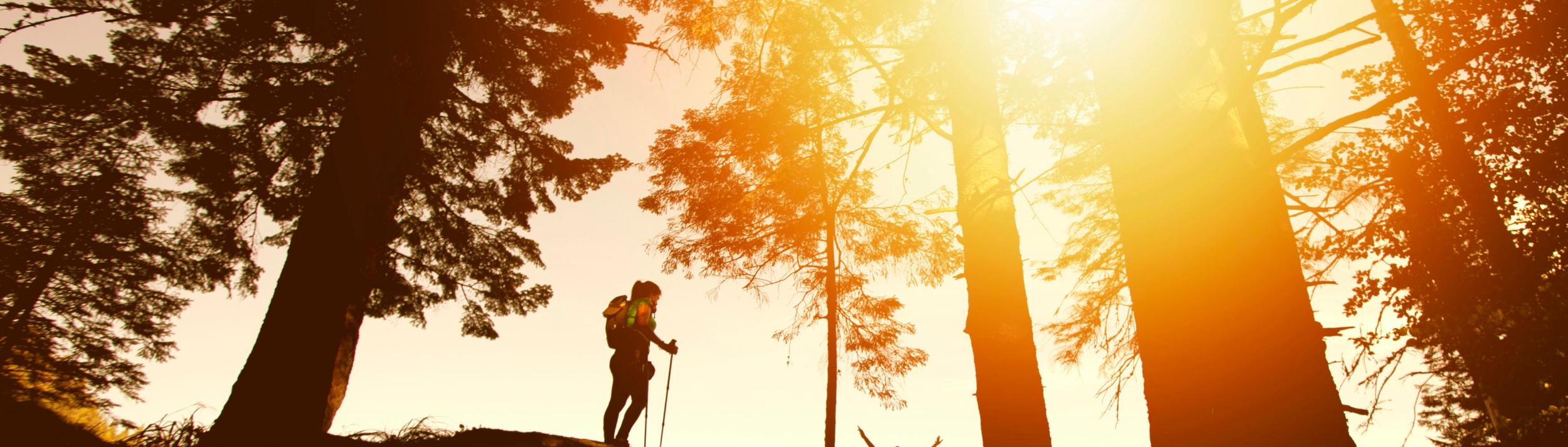 Cover Image for Calendar