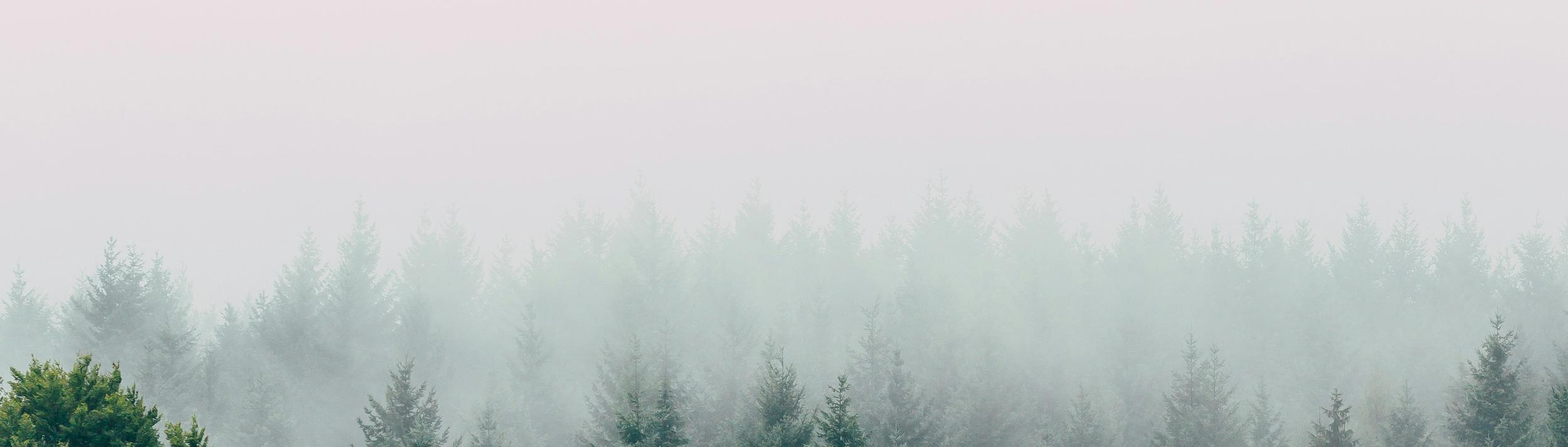 Cover Image for Calendar