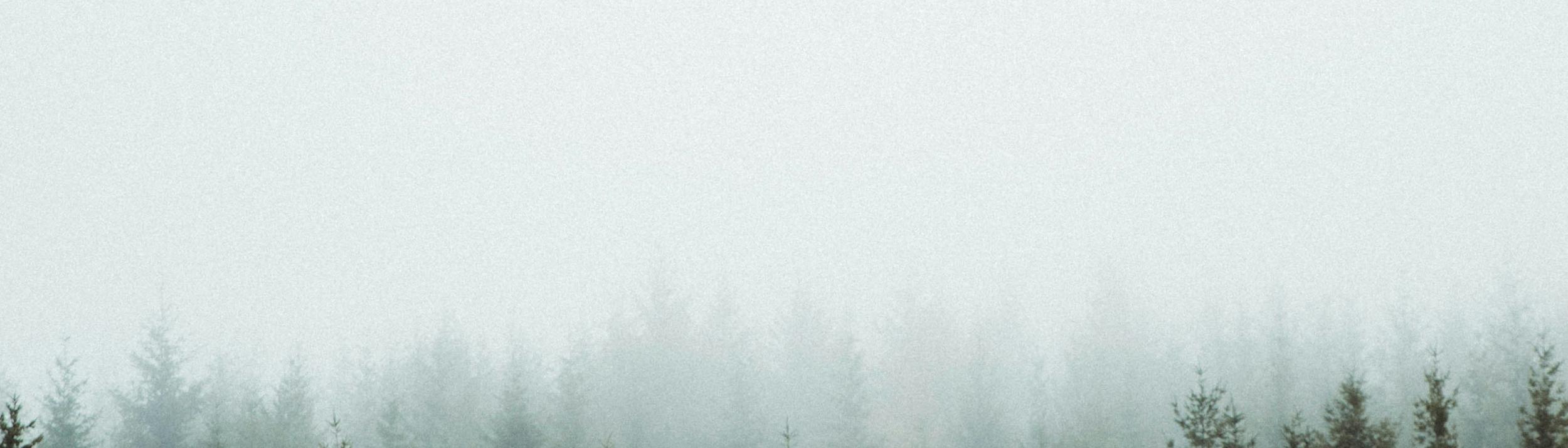 Cover Image for Calendar