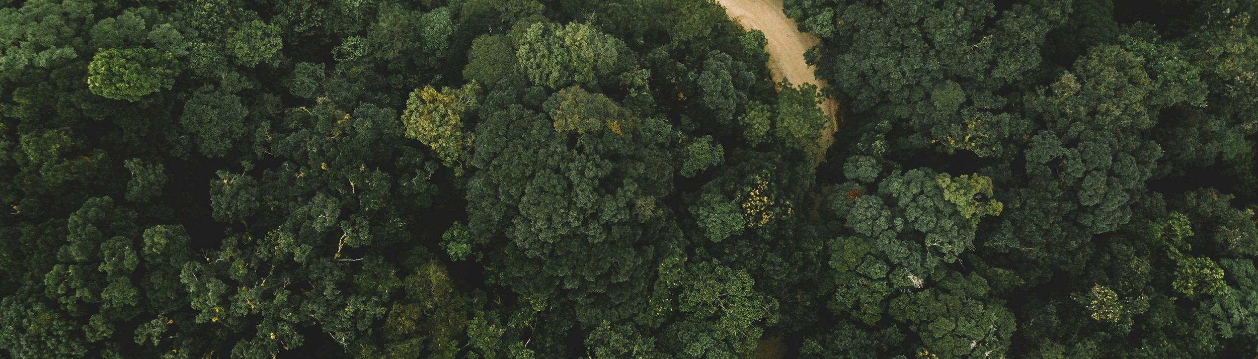Cover Image for Calendar