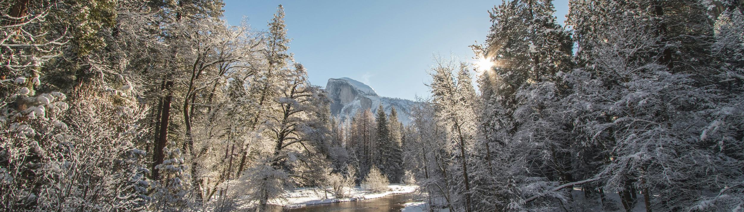 Cover Image for Calendar