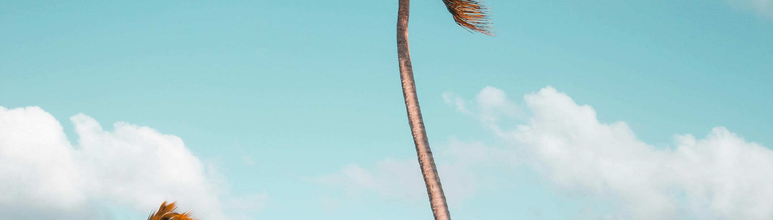 Cover Image for Calendar
