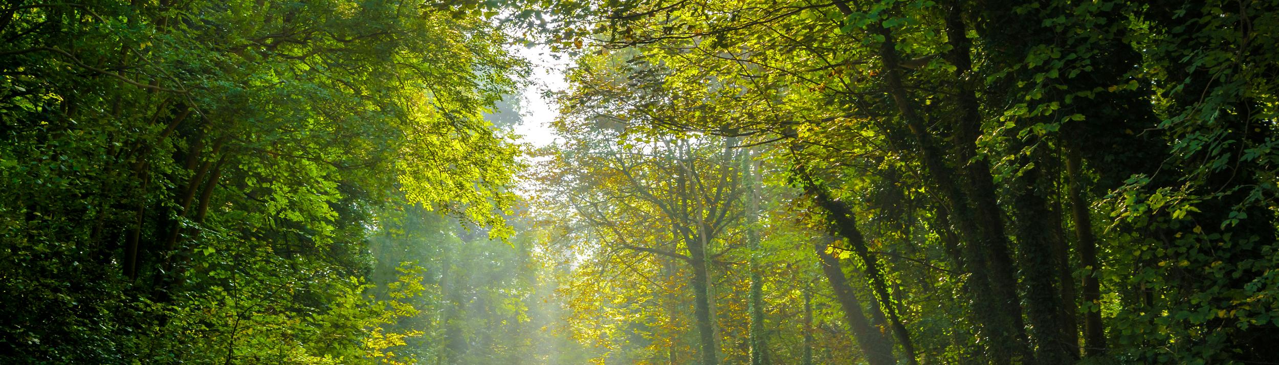 Cover Image for Calendar