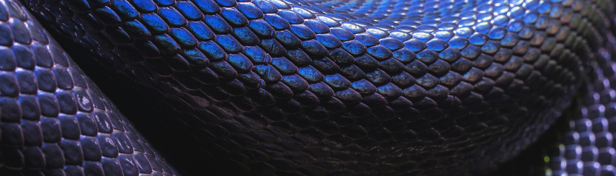 Cover Image for Calendar