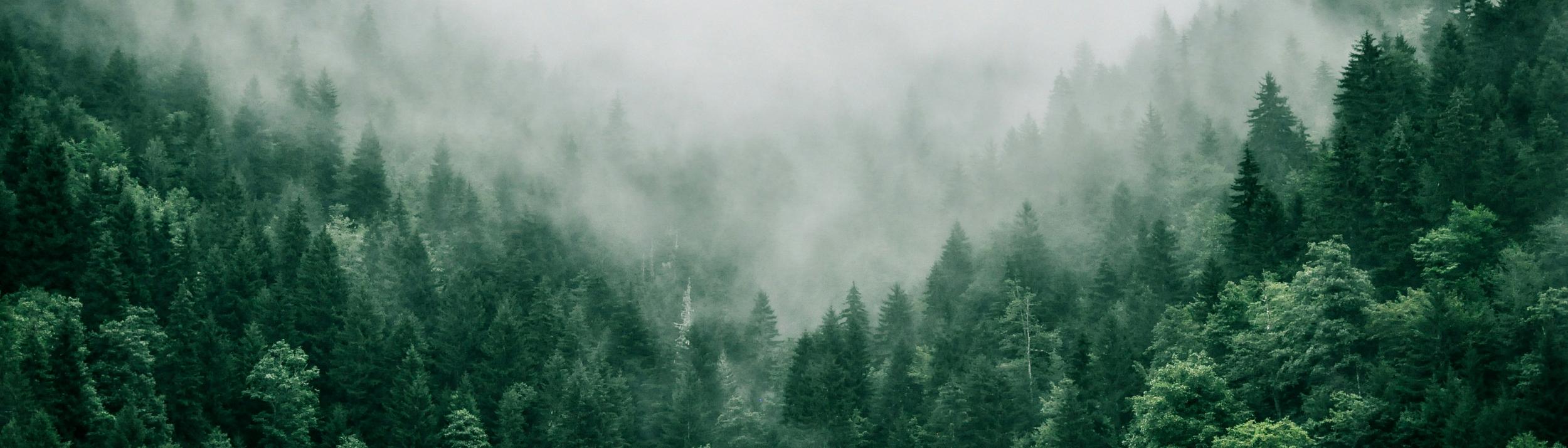 Cover Image for Calendar