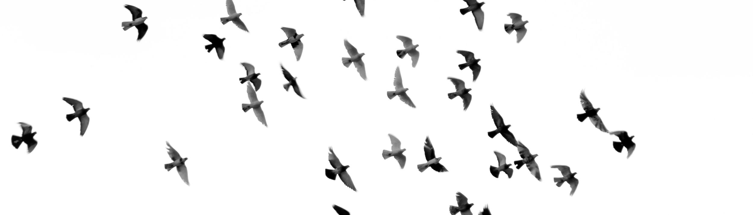Cover Image for Calendar