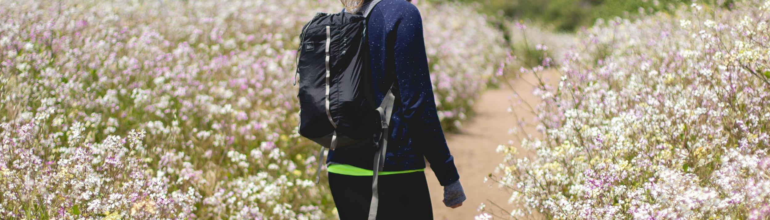 Cover Image for Calendar
