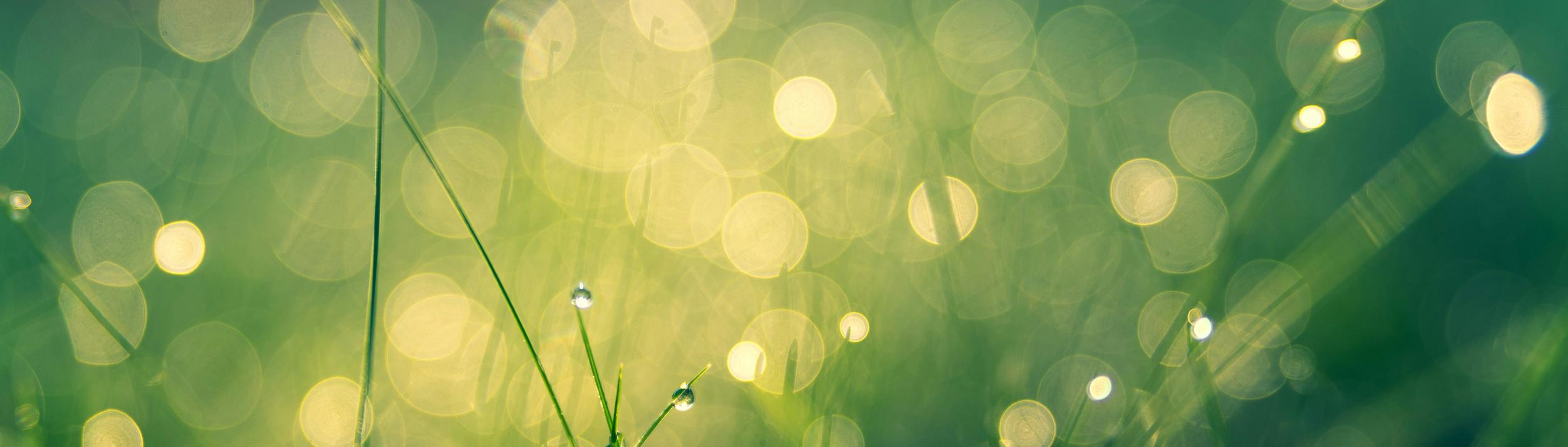 Cover Image for Calendar