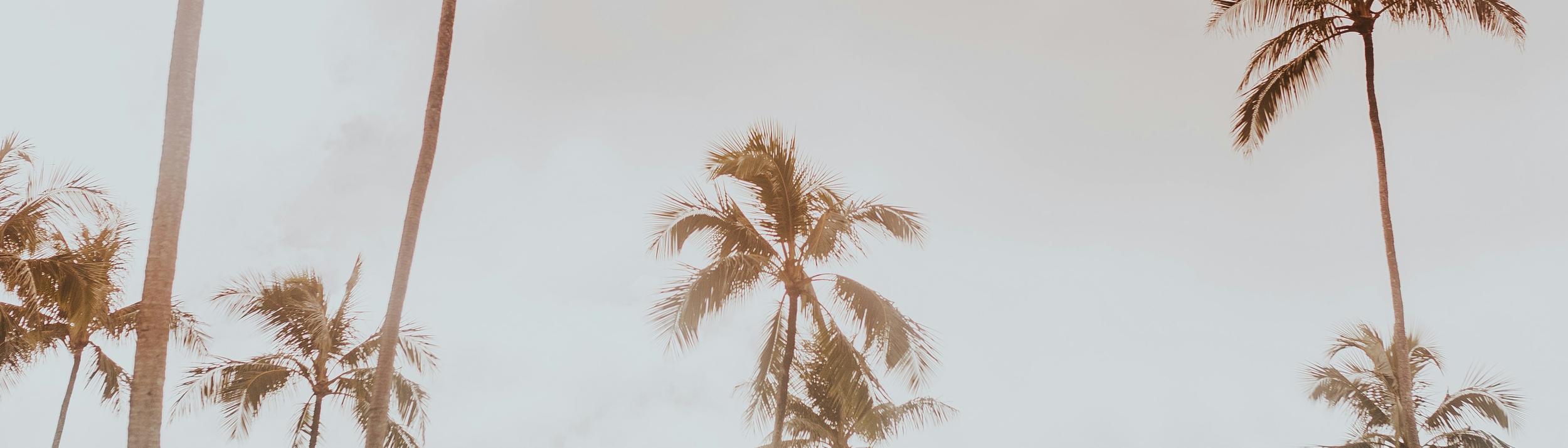 Cover Image for Calendar