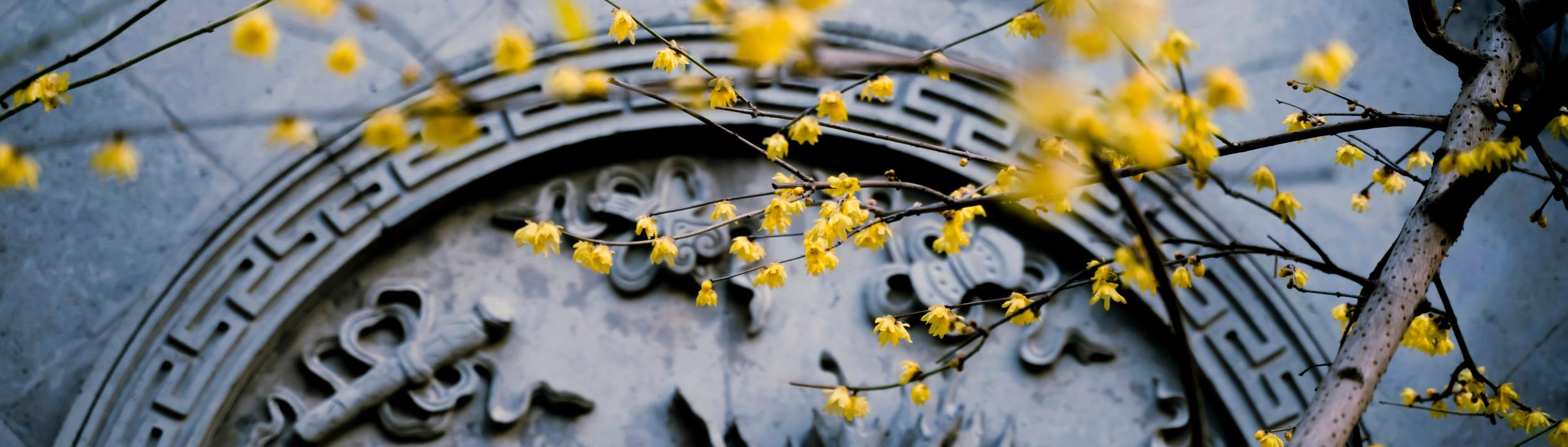Cover Image for Calendar