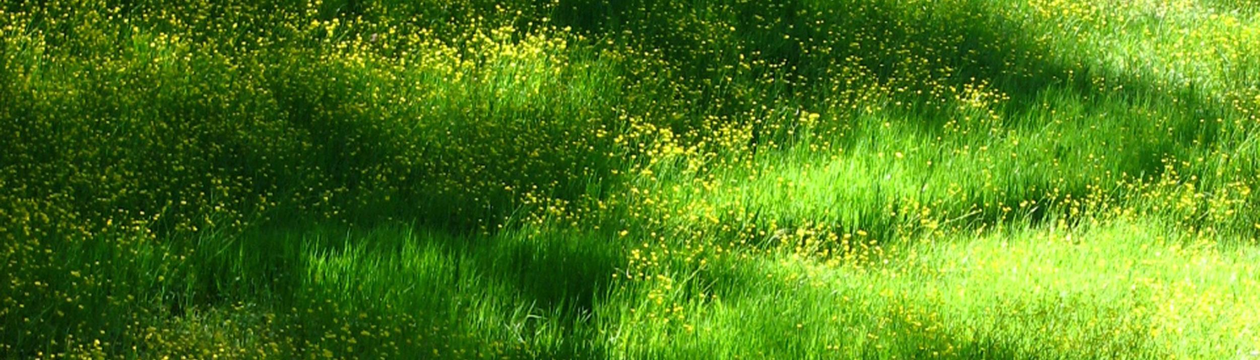 Cover Image for Calendar