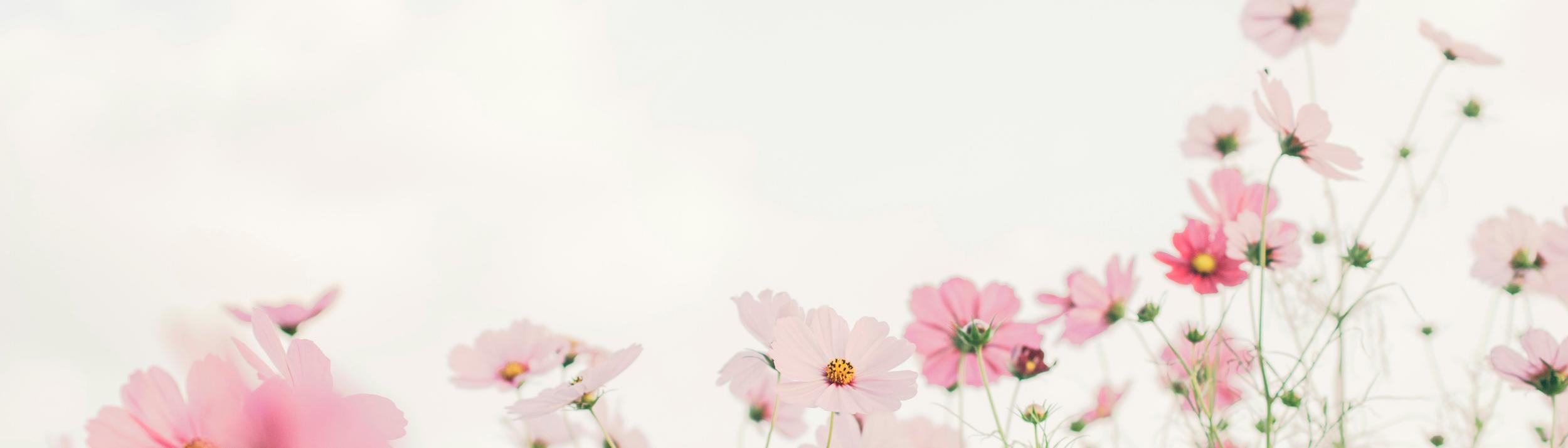 Cover Image for Calendar