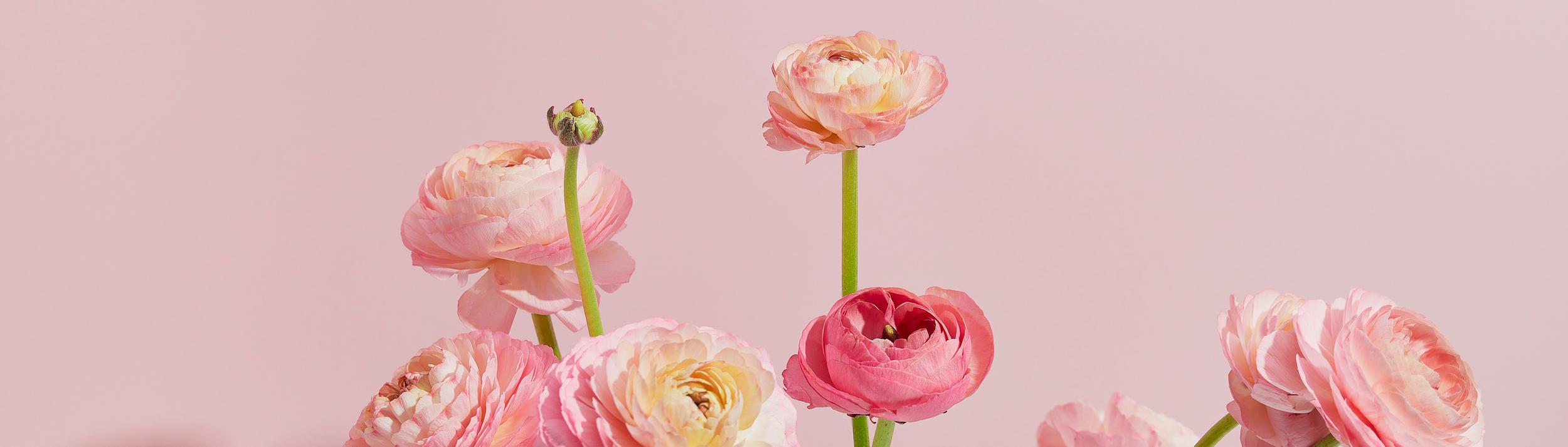 Cover Image for Calendar