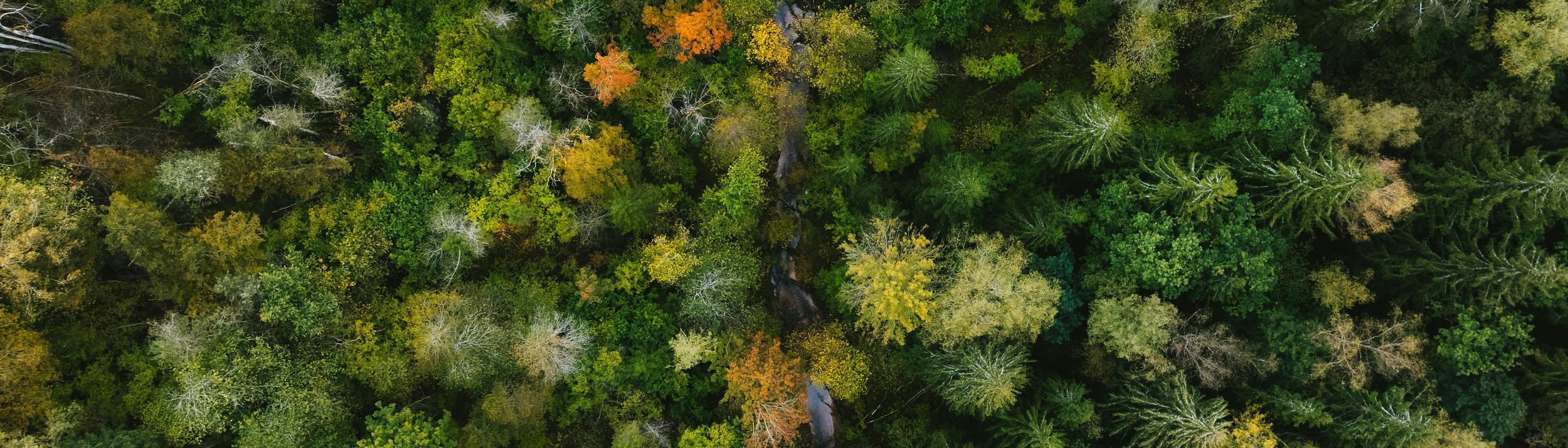 Cover Image for Calendar