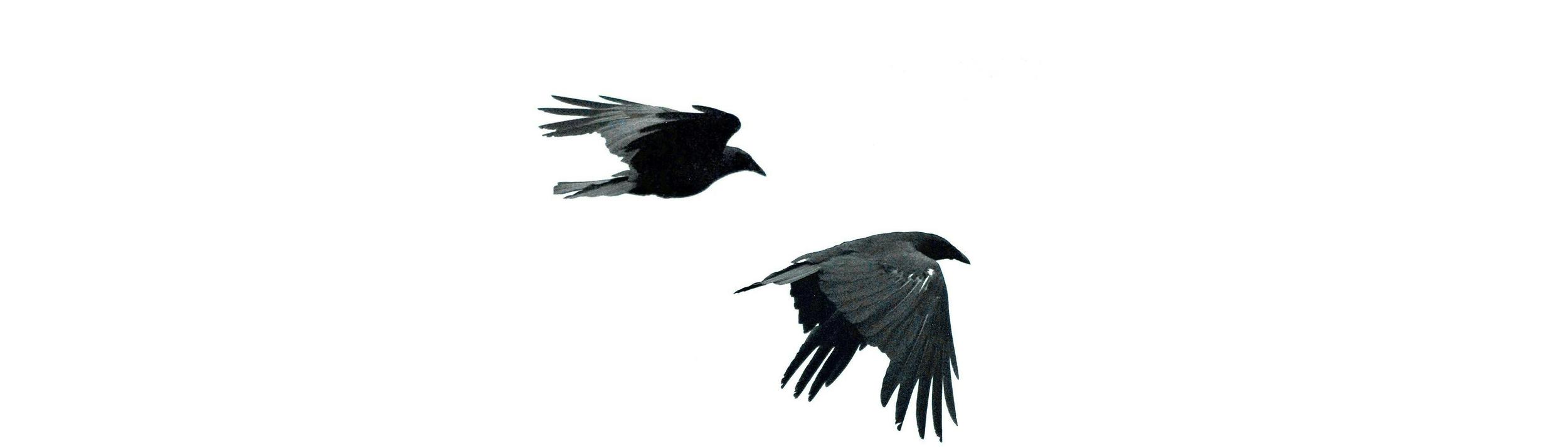 Cover Image for Calendar