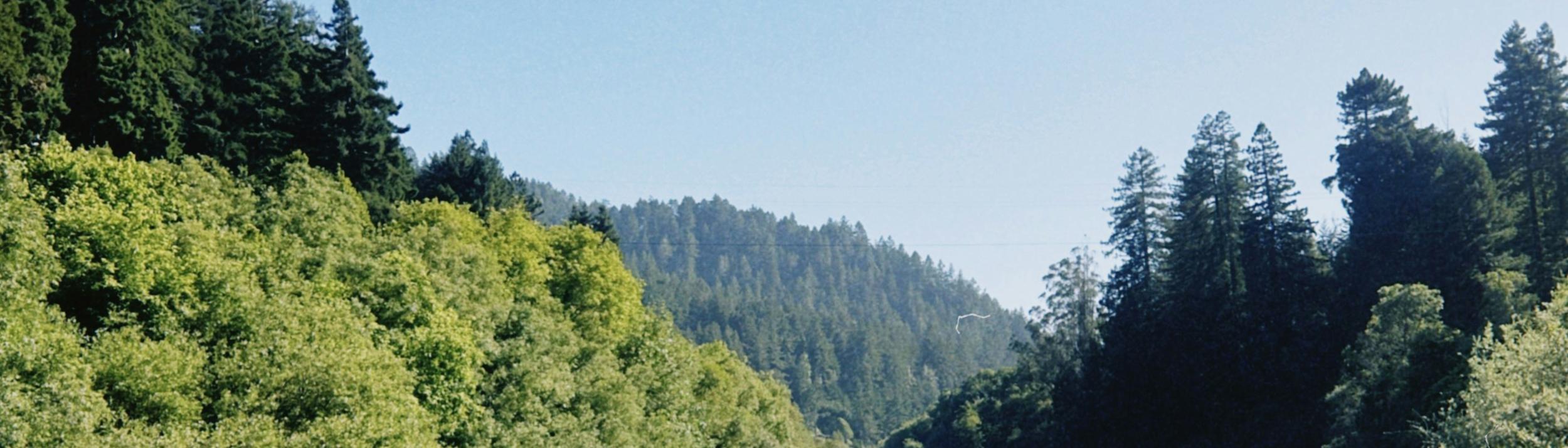 Cover Image for Calendar