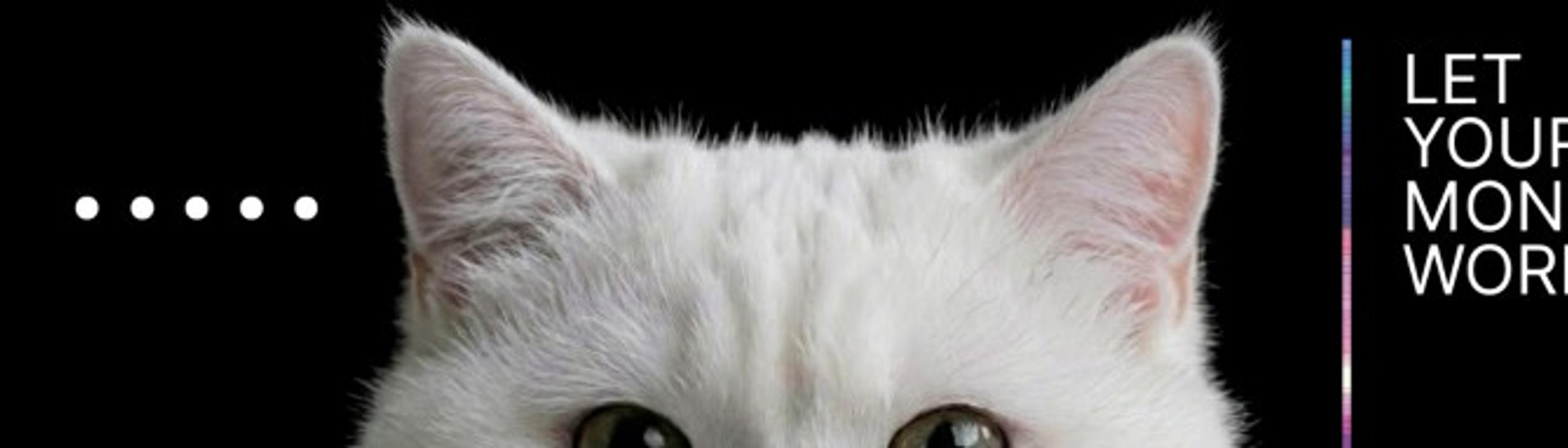 Cover Image for Calendar