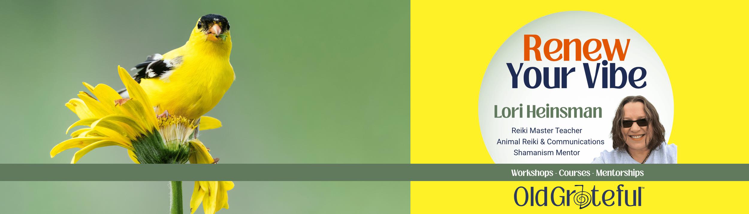 Cover Image for Calendar