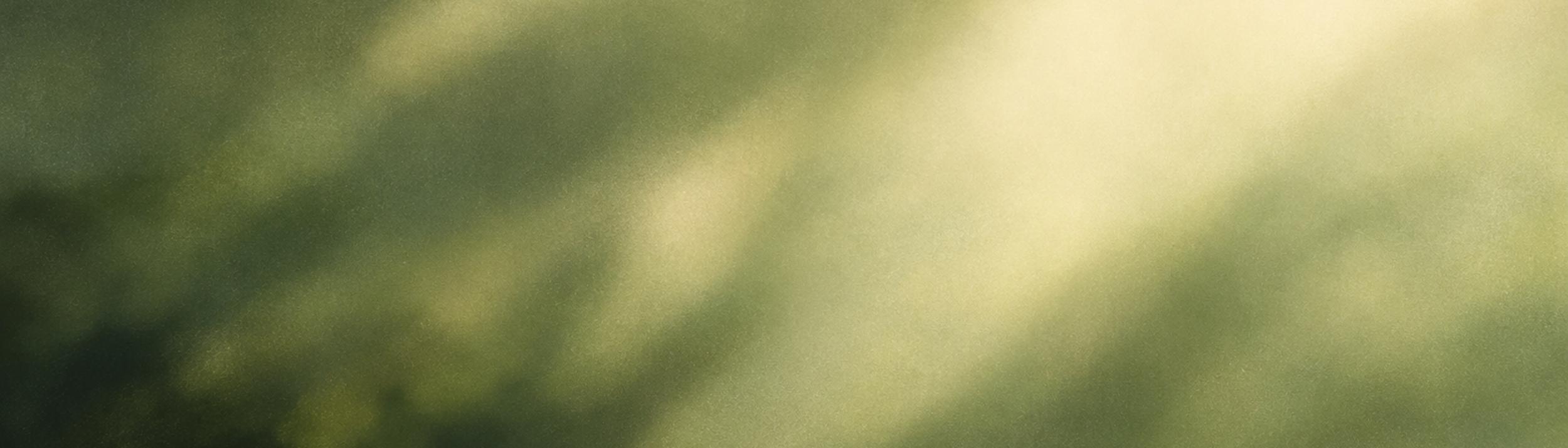 Cover Image for Calendar