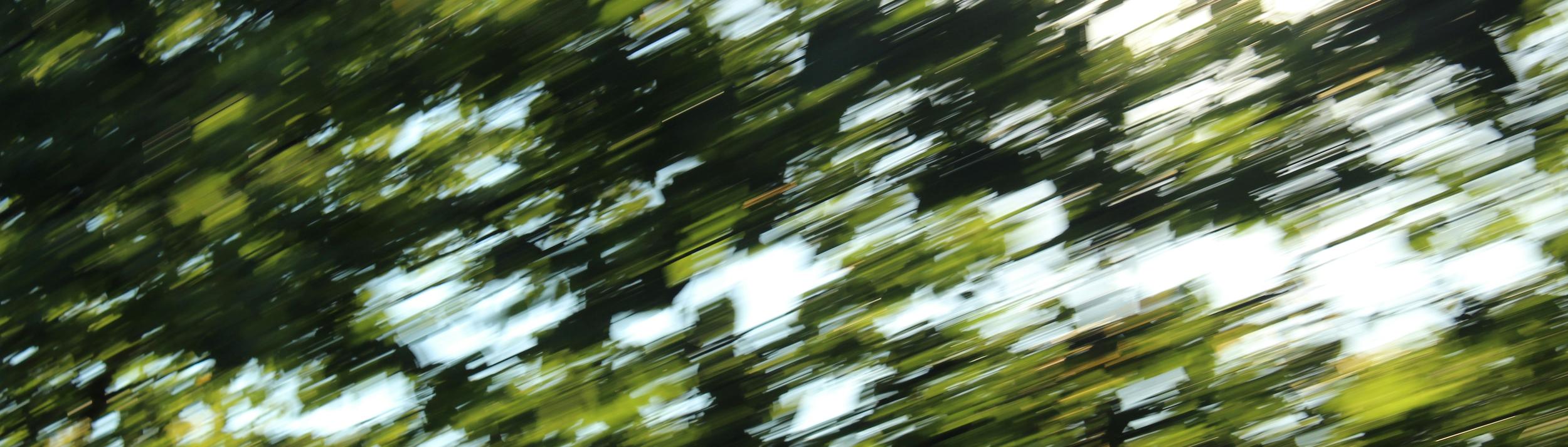 Cover Image for Calendar