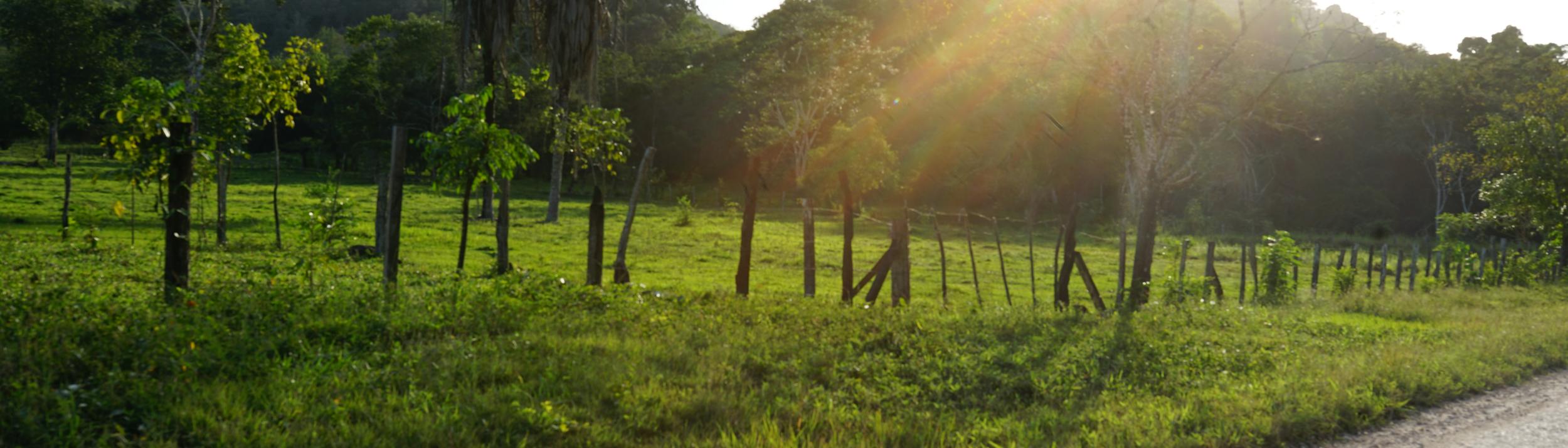 Cover Image for Calendar