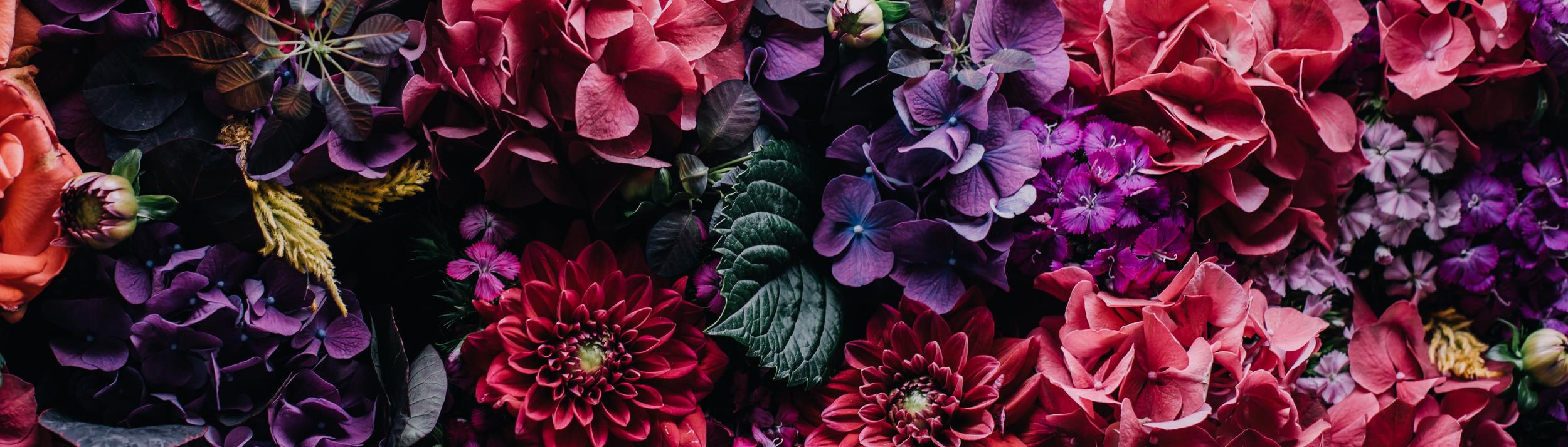 Cover Image for Calendar