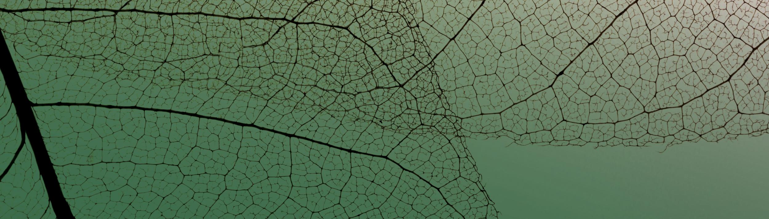 Cover Image for Calendar
