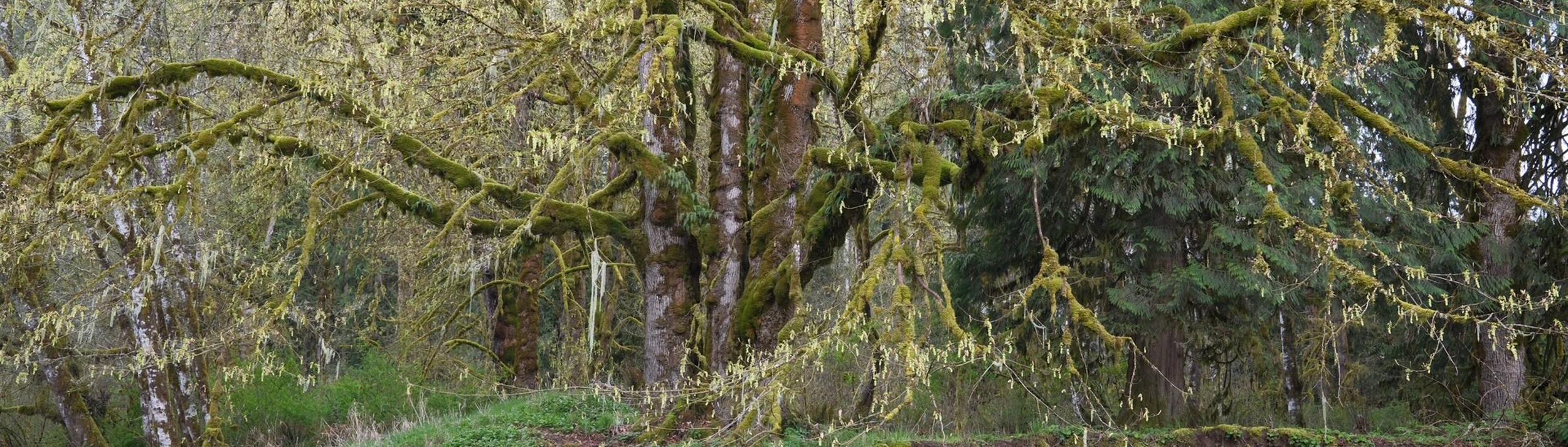 Cover Image for Calendar