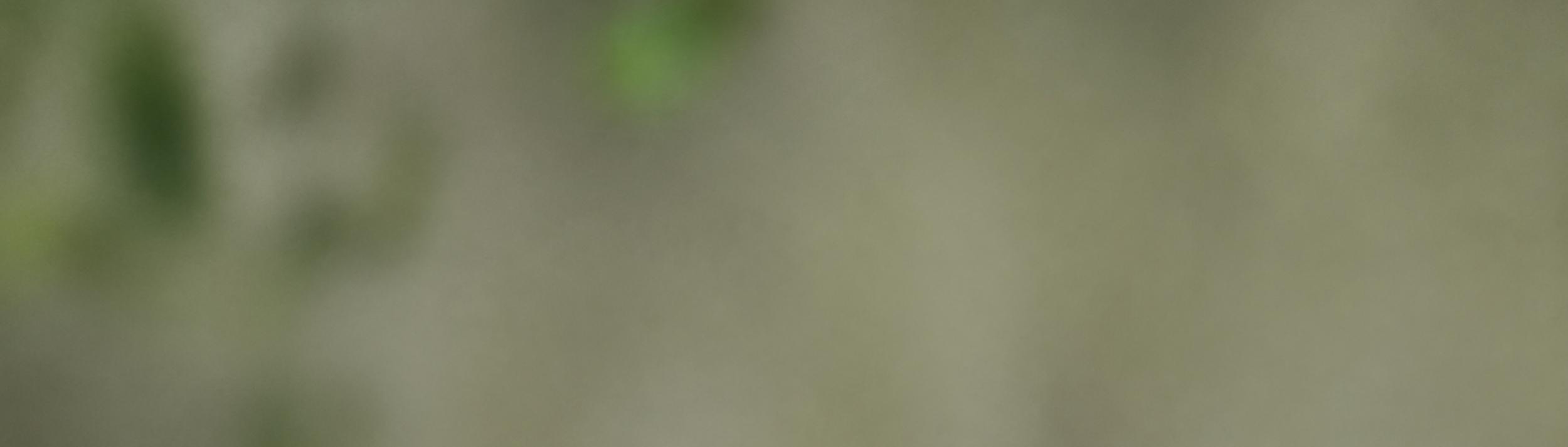 Cover Image for Calendar