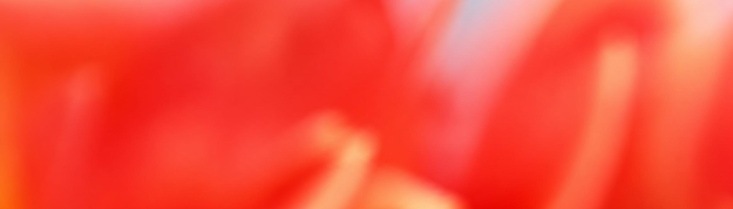 Cover Image for Calendar