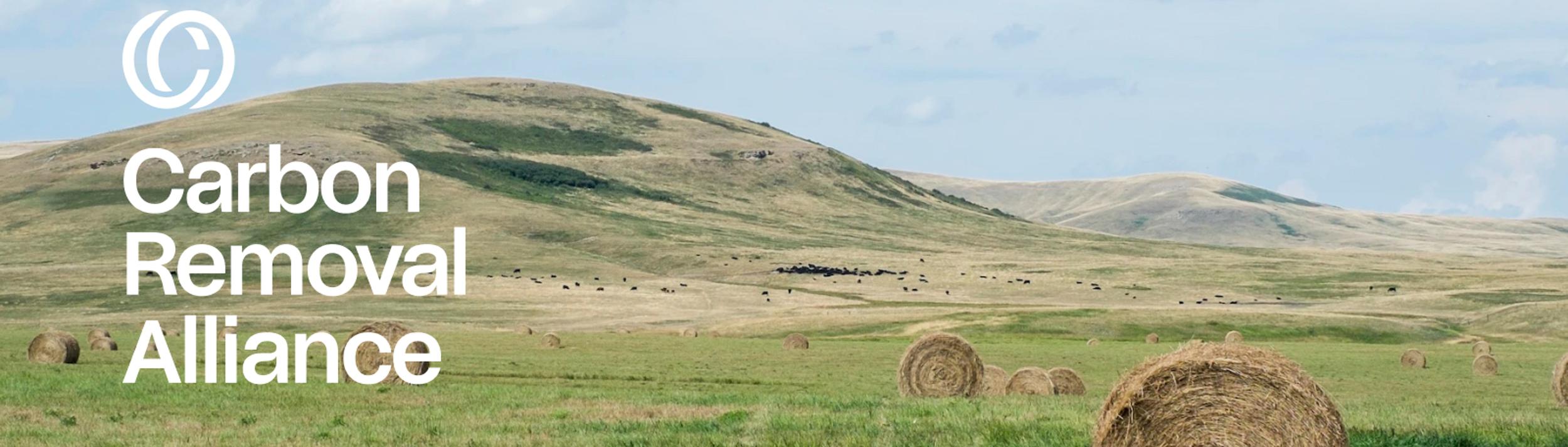 Cover Image for Calendar