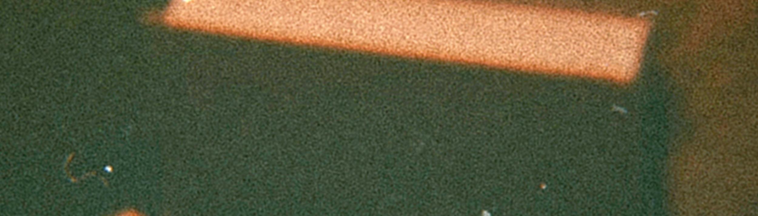 Cover Image for Calendar