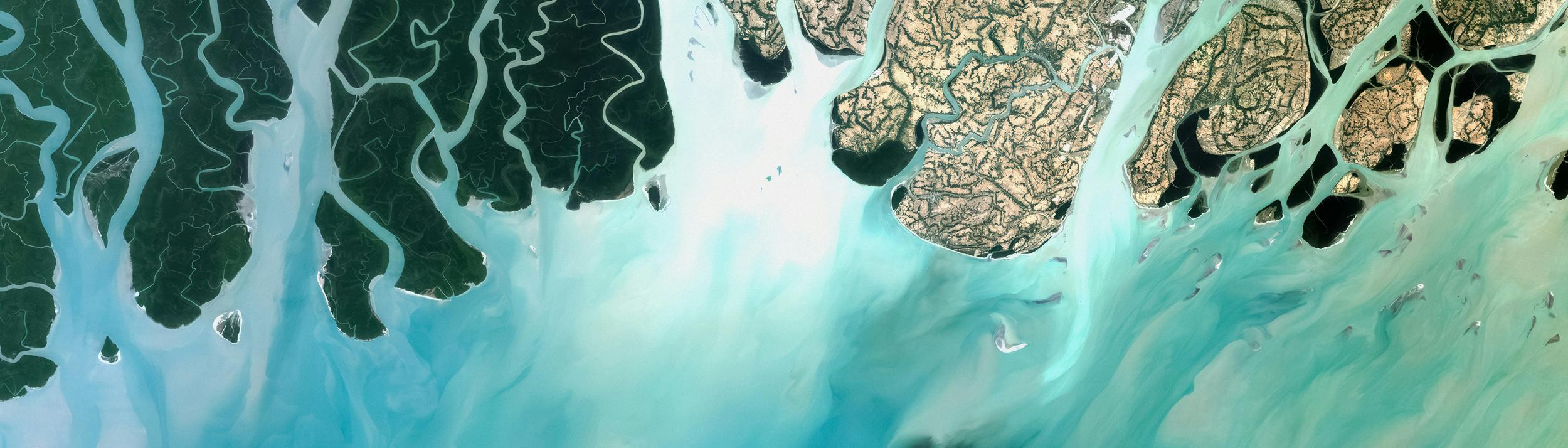 Cover Image for Calendar