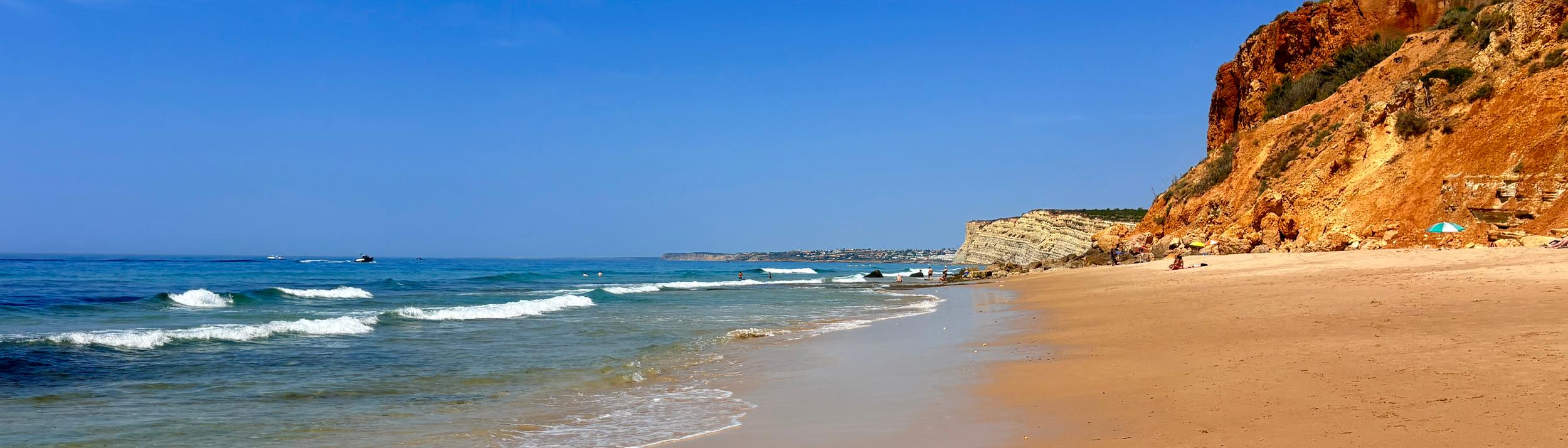 Cover Image for Calendar