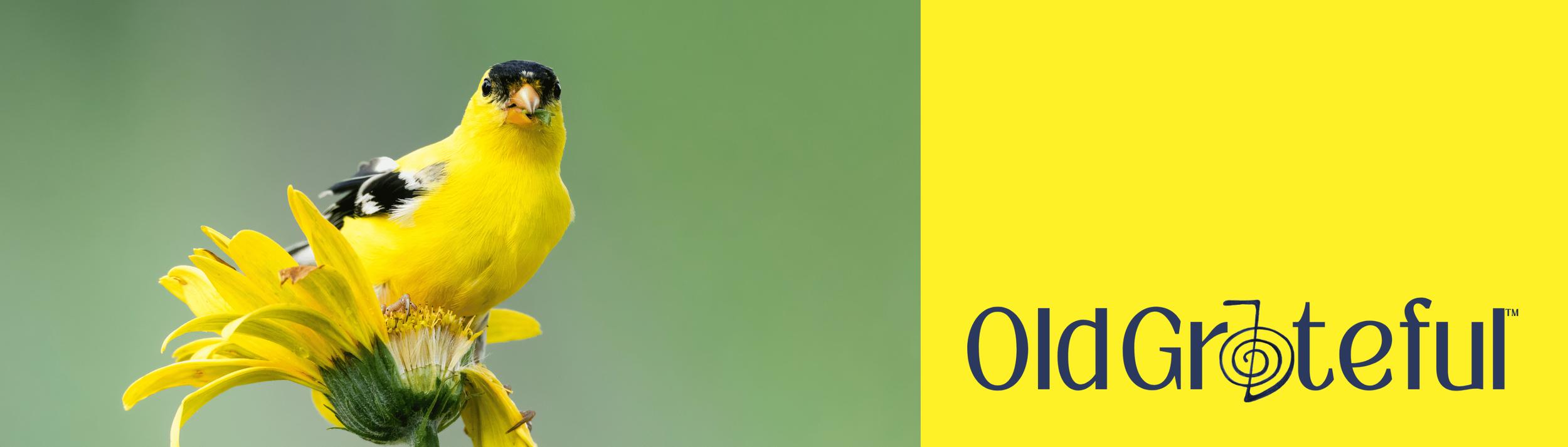 Cover Image for Calendar
