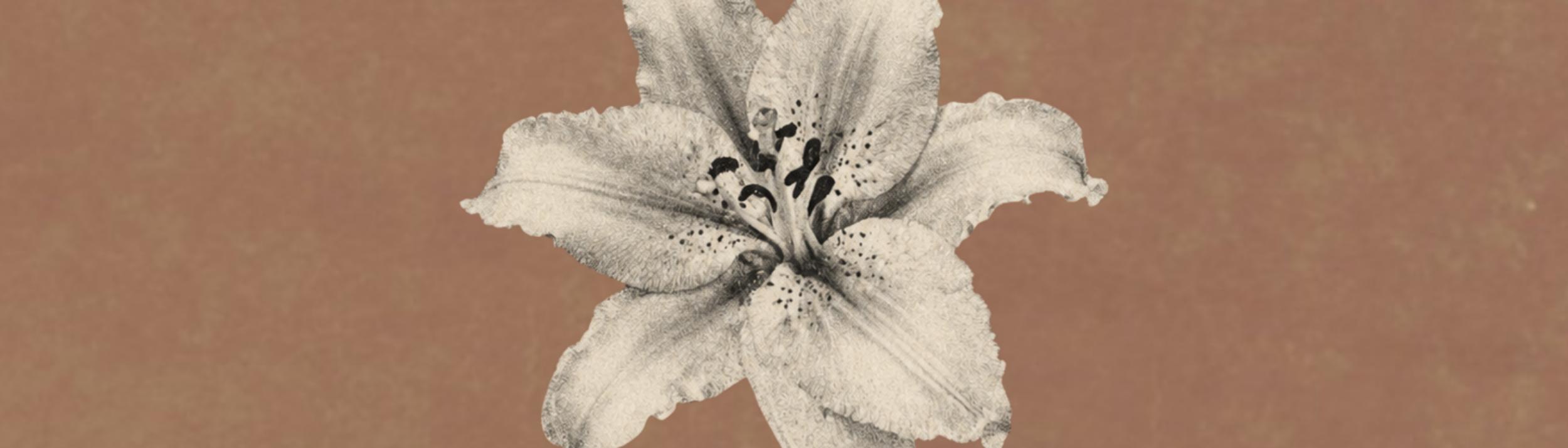 Cover Image for Calendar