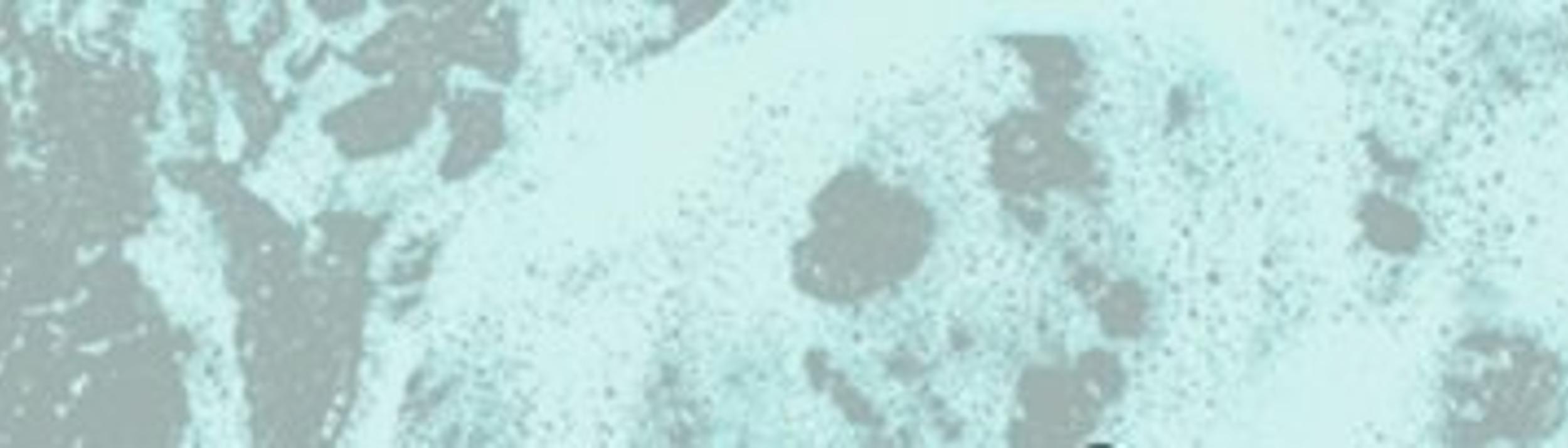 Cover Image for Calendar