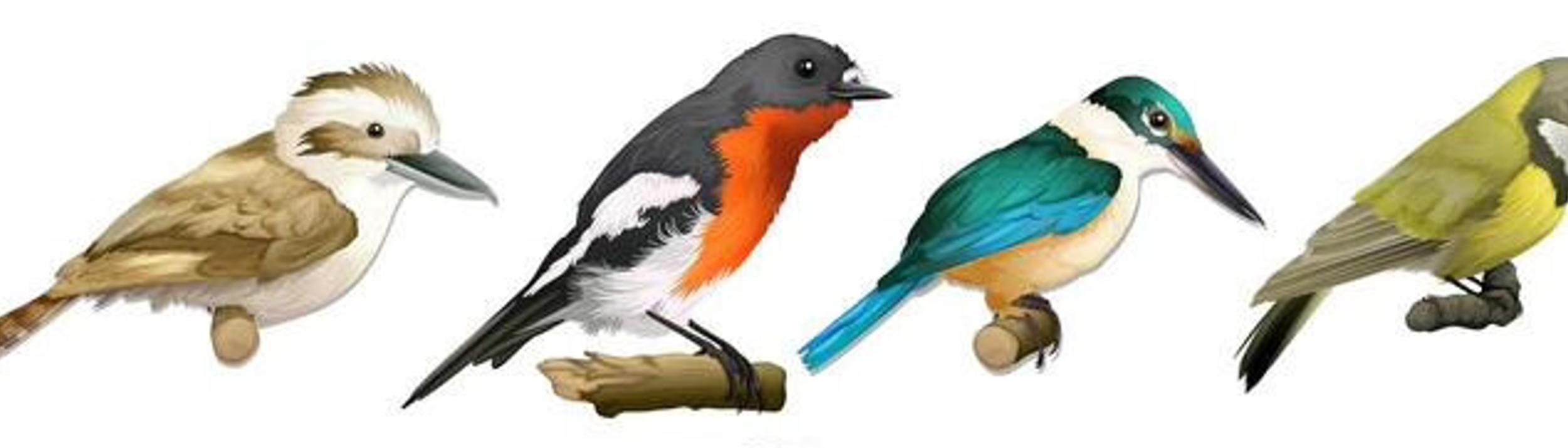 Cover Image for Calendar